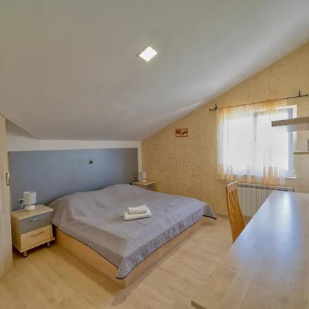 Olga Guest house
